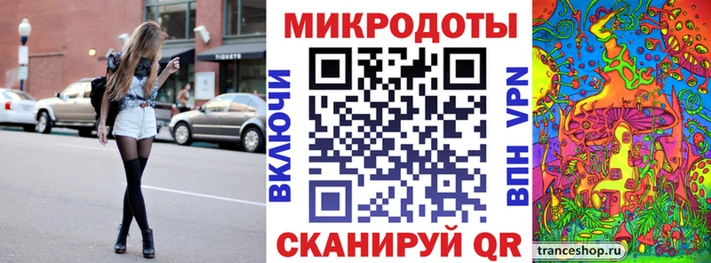 Галлюциногенные грибы Psilocybe  Грозный 